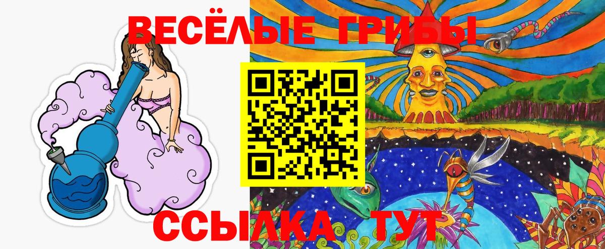 Псилоцибиновые грибы Psilocybe Тихорецк