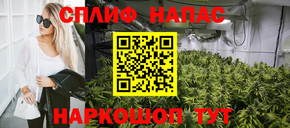 Бошки Шишки MAZAR  Канабис марихуана  Тихорецк  Каннабис гибрид  Вход с VPN  Бошки Шишки тримм 